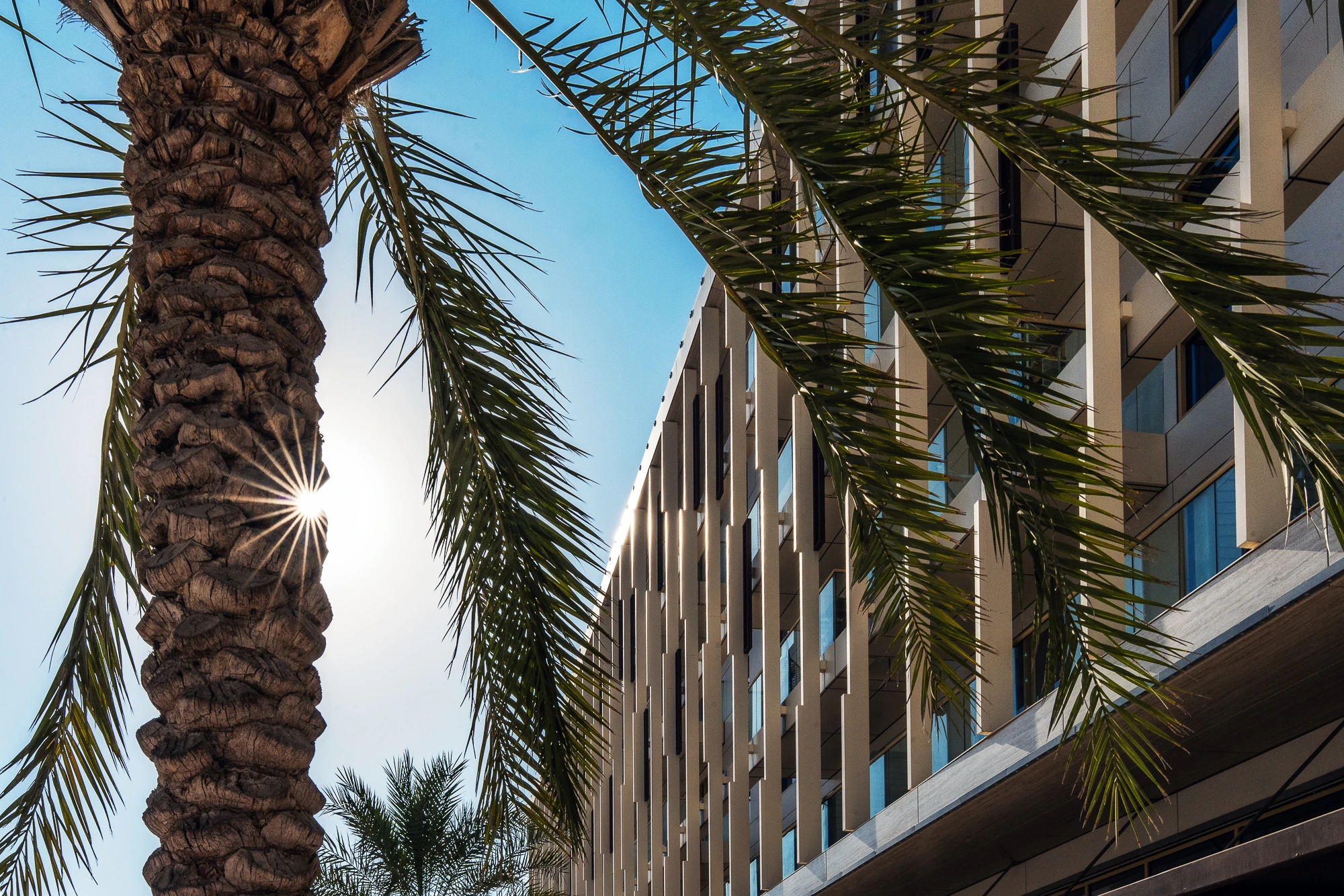 Al Mushrif residential villas framed by palms